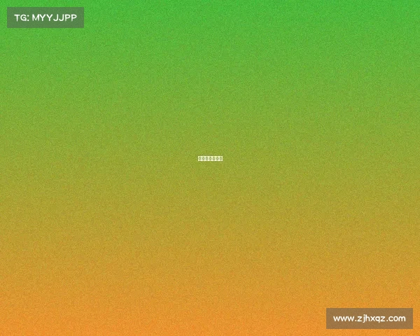 巴西对战瑞士队